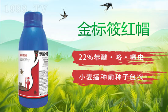 2022��2��3�ո�Ч�����׺��`���݄��r��