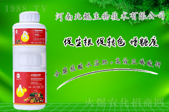 2022.1.31С�����݄��r������