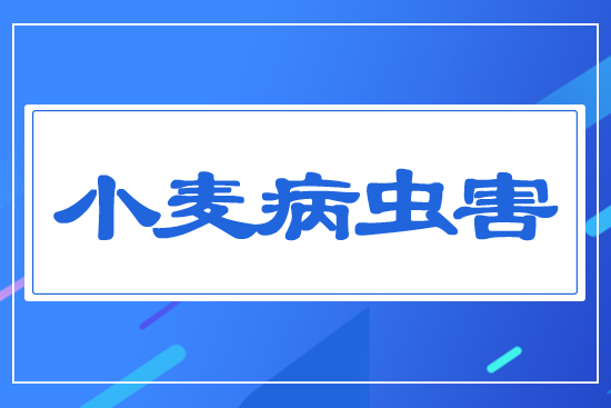 С�����x��