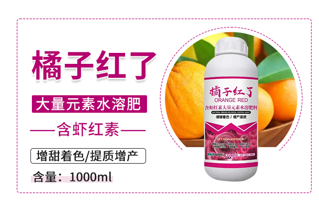 ���Ӽt��-�����r(n��ng)_03