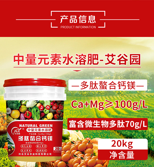 ���������}�V-���Ȉ@_02