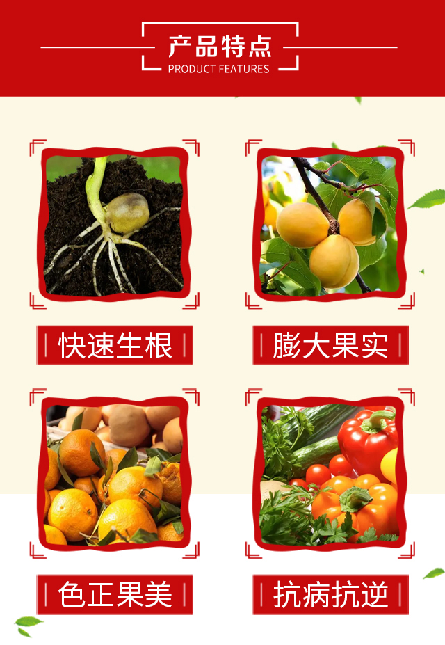 ���������}�V-���Ȉ@_03