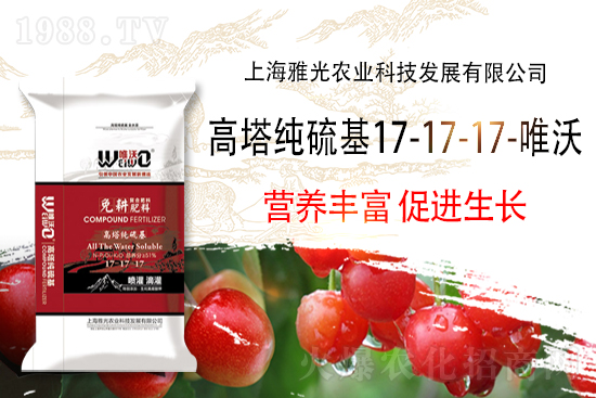 2022-2-11國內復合肥價格行情走勢