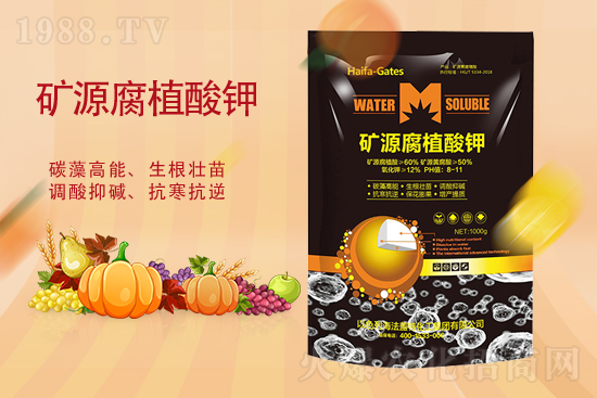 ⛷ʃr�����ٝq�᣿2��19�ո���⛷ʃr��