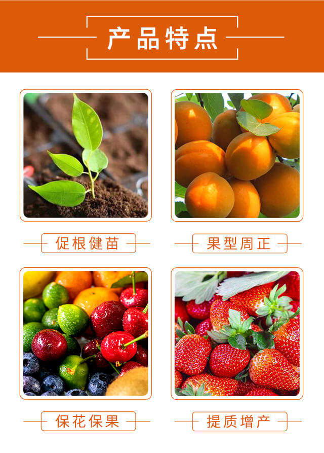 �ն�����-�����طN�ʘI(y��)_03