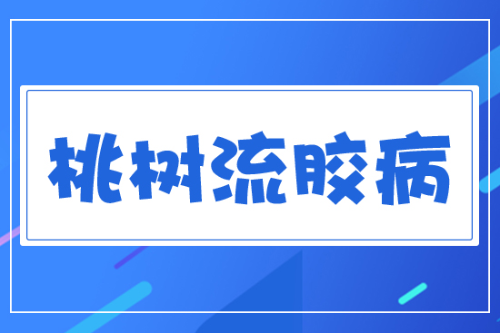 �Ҙ����z��