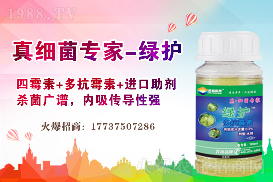 ������61