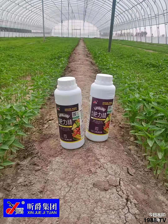 �����仨����������Ͳ��ü������l(f��)�������ٻ����������E���@��