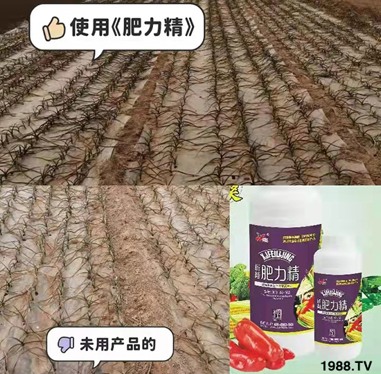 �����仨����������Ͳ��ü������l(f��)�������ٻ����������E���@��