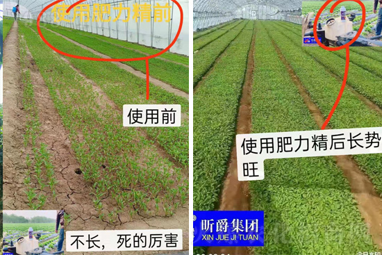 �����仨����������Ͳ��ü������l(f��)�������ٻ����������E���@��