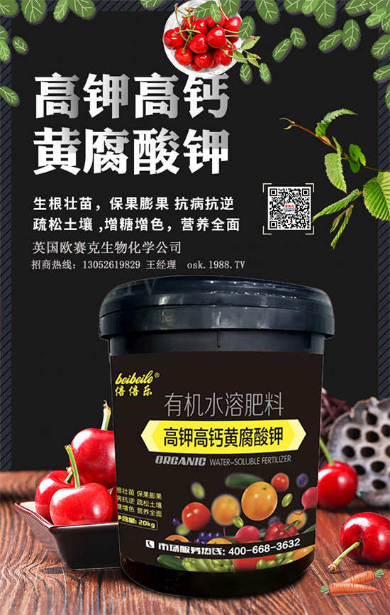 һ���S�����=�����������������ЙC�����S����⛞�����������