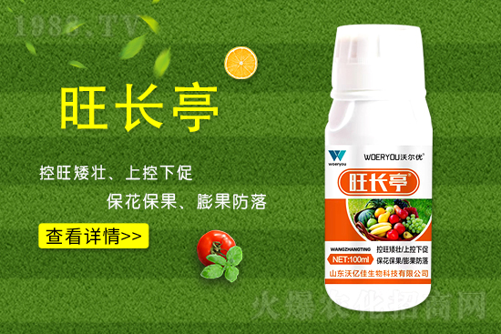 ʲô���S�����L���S�����L�ķ��ش�ʩ