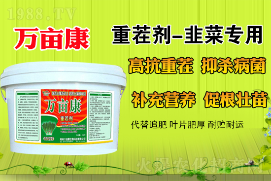 �²�ʲô�r��N�����m������¶�ؾ²˹���������ע�����