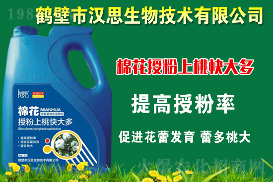 棉花種植怎么管理?棉花各生長(zhǎng)期管理要點(diǎn)