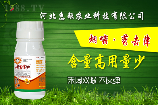 �⚢�pЧ�����ͨ�������������ӛס�@��(g��)�䷽�͉���! 