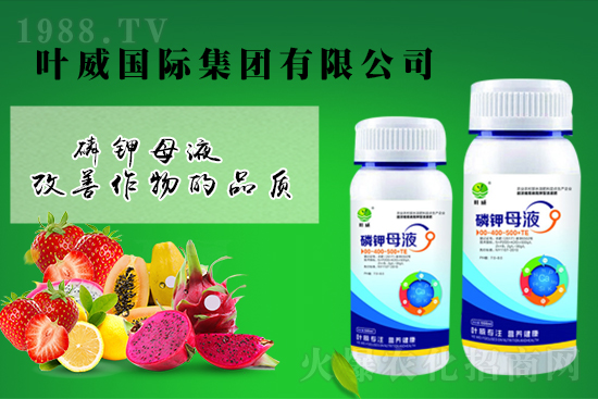 鉀肥價(jià)格回暖？4月5日鉀肥價(jià)格行情