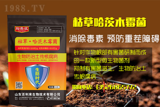 ���������l(f��)��ô��������������ʲôˎ�÷���Ч���ã�