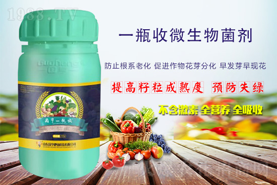 火爆農(nóng)化網(wǎng)喜迎新盟友,攜手國亨肥業(yè)共走財(cái)富之路!