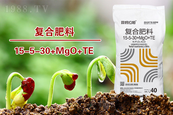 �ͺϷ�����ô�x���@���÷ʎ���ʡ�X��