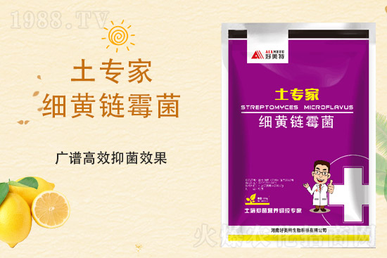 ���@�r(ji��)�����ٝq����4��2�ո������@�r(ji��)��