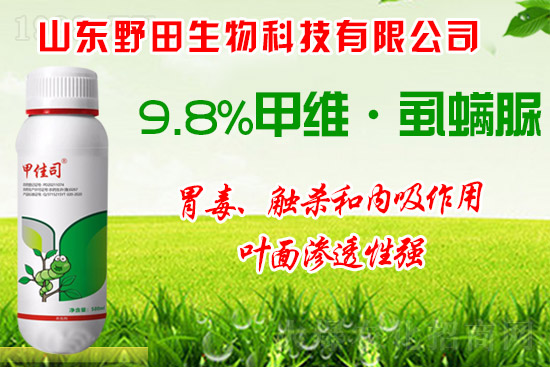 ��Сʳ���x��οƌW��ˎ����Сʳ���x�l(f��)��ԭ�򼰷��ν��h��