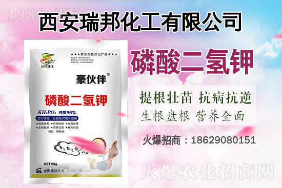 近期國內(nèi)鉀肥價(jià)格市場(chǎng)行情分析(4月21日)