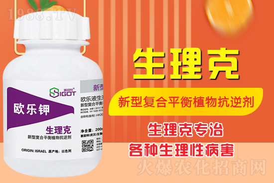 ����Ě������ʲô�Y������ô��Q����Ě������