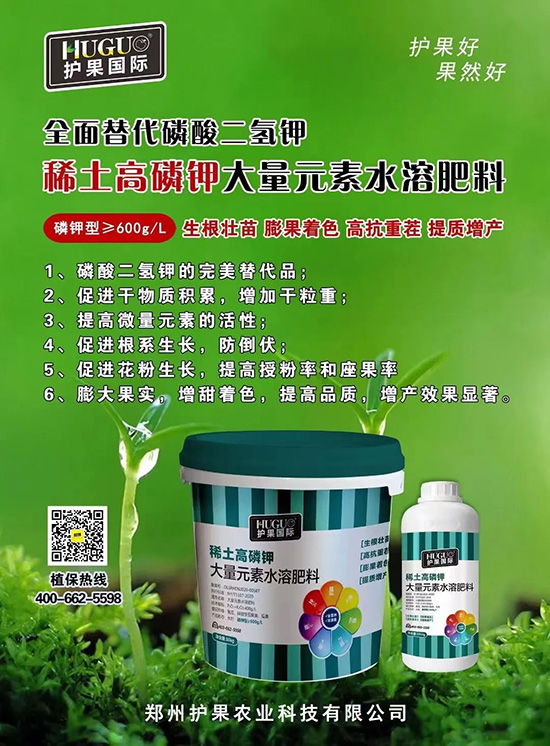 ⛷ʴ�q�r���@�N⛷���ݶ��ϣ����������������ռ���f�Ј�