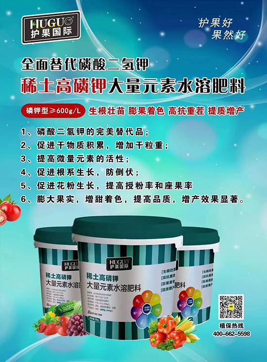 ⛷ʴ�q�r���@�N⛷���ݶ��ϣ����������������ռ���f�Ј�