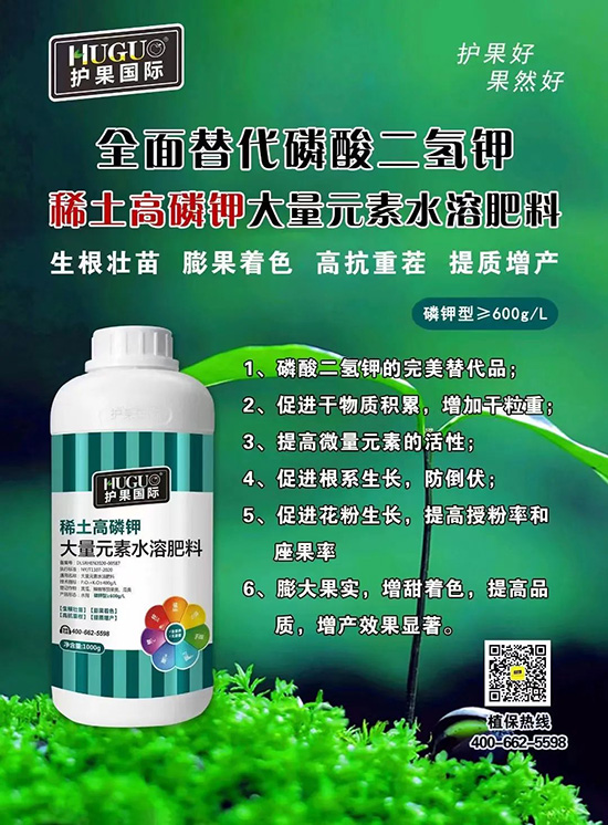 ⛷ʴ�q�r���@�N⛷���ݶ��ϣ����������������ռ���f�Ј�