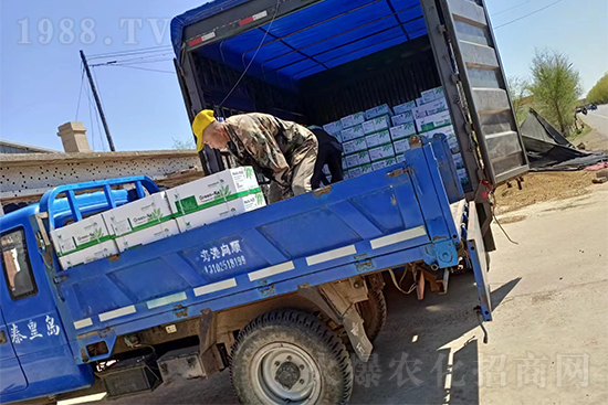 ���N��Ʒ�������S��������2̖�l(f��)؛��ͣЪ