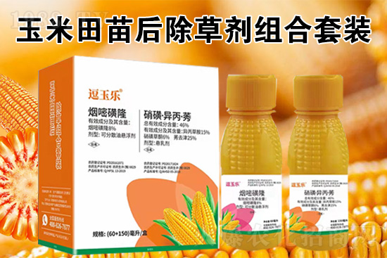 玉米除草劑怎么打才又有效？
