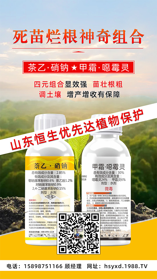 根腐、立枯、死苗爛根導(dǎo)致作物的“元兇”！這樣防治輕松搞定！