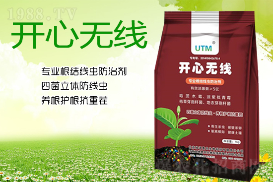 ���Y(ji��)���xΣ���������x������Ҋ�R����