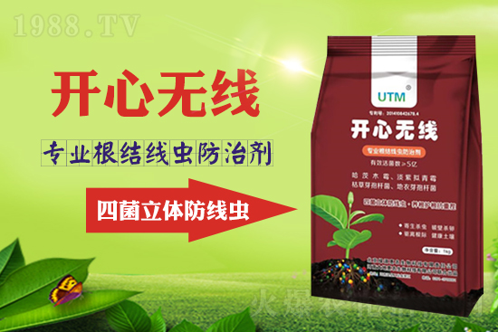 ���Y(ji��)���xΣ���������x������Ҋ�R����