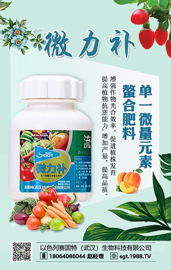 ���ι���С�~���S�~����������������