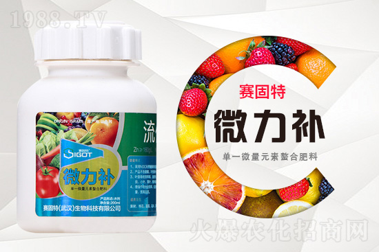 ���ι���С�~���S�~�������������У�