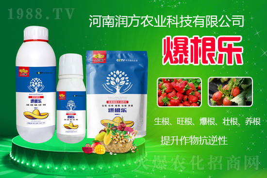     ���ϝ����r(n��ng)�I(y��)�Ƽ����޹�˾��΢�������-������-����ñ���Ɏ���ֲ�ｨ����(qi��ng)�я�(qi��ng)��ĸ�ϵ�����M(j��n)ֲ������B(y��ng)����ˮ���c���w�������������������������������Ѹ����B(y��ng)��������(qi��ng)��������