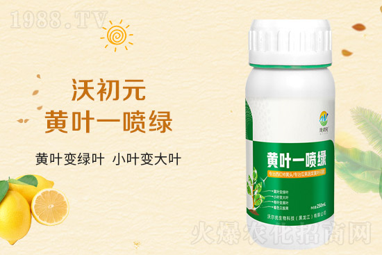 �����~Ƭ��ʲô�l(f��)�S��