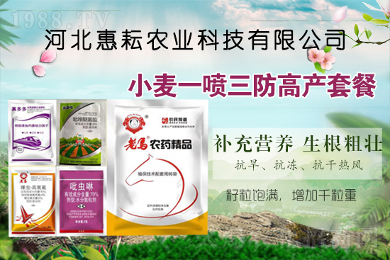 �¼����з����ﱣ�o(h��)���޹�˾1