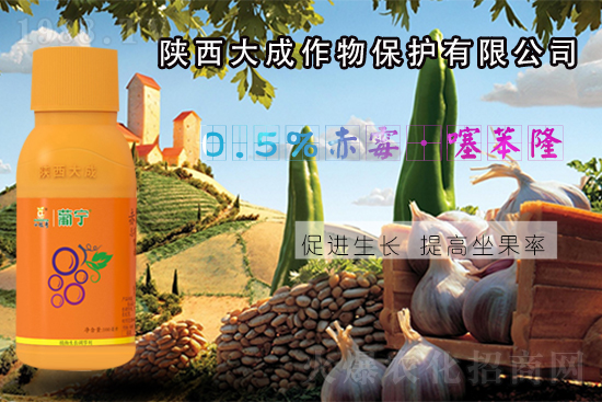 ���������ﱣ�o(h��)���޹�˾1