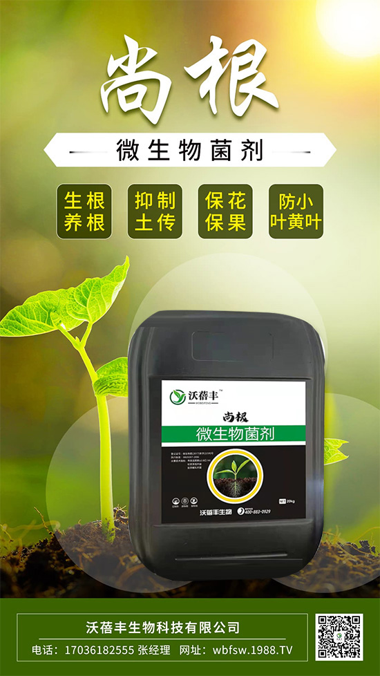 ��ô����׌���������Ѹ������@����׌��������������