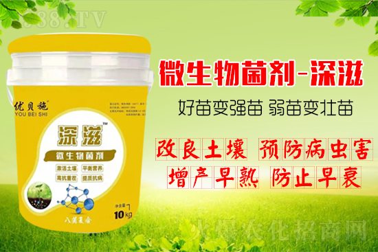 ������α��l(f��)ʽ�������������B(y��ng)�������������