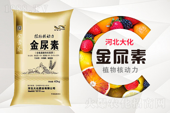 ���ص����ܲ������~��ʣ���ô����