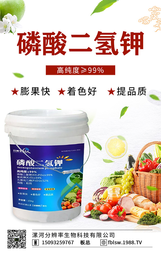 �~��ʵć�ʩ�`�^(q��)���@���c�e������