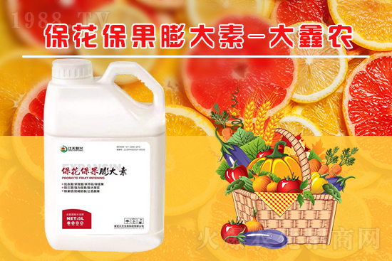 �ļ���������ٲ�������α��������