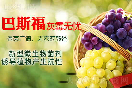 ���ѻ�ù��ԓ��ν�Q����ù����ˎ���h��