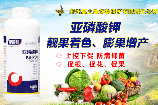 2022��4��7�����@�Ј��r�������r