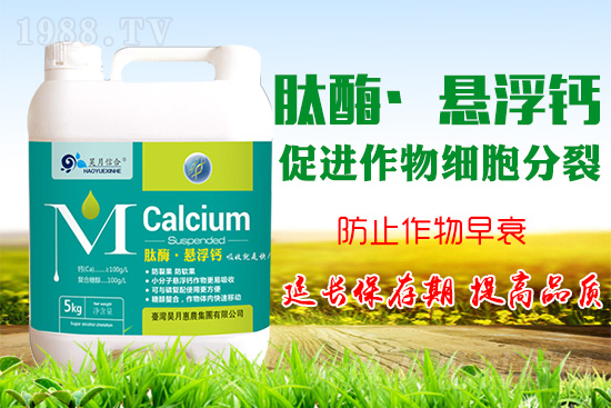 蘋(píng)果樹(shù)花后補(bǔ)鈣很關(guān)鍵！蘋(píng)果補(bǔ)鈣的四個(gè)誤區(qū)你知道嗎？