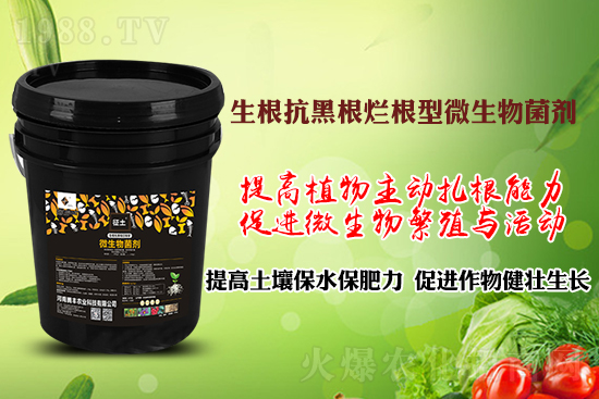 ����ڸ��������S�������l�l(f��)���á������p�ɽ�Q�����f(w��n)�Nֲ����������